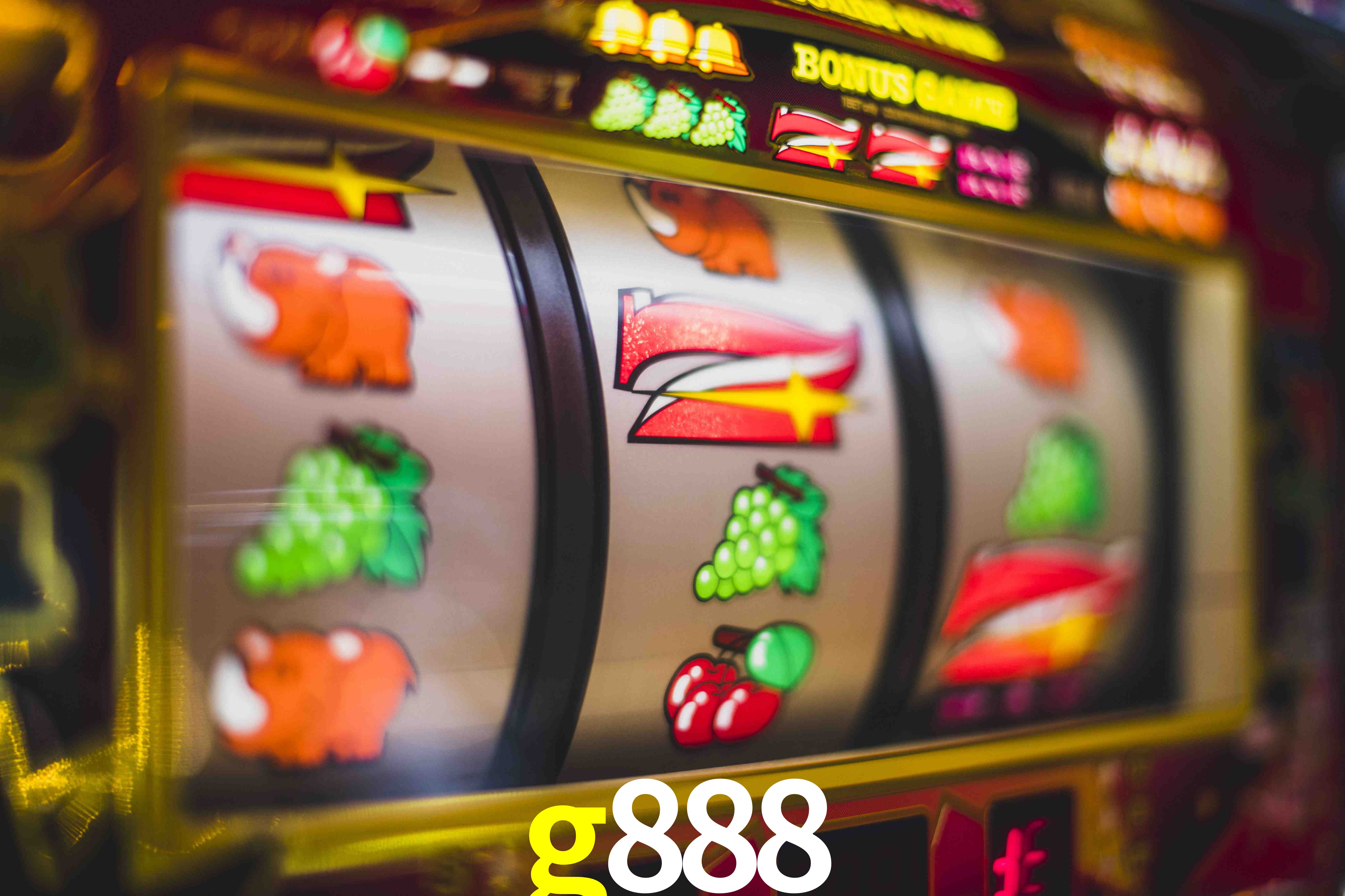 Sports Statistics g888